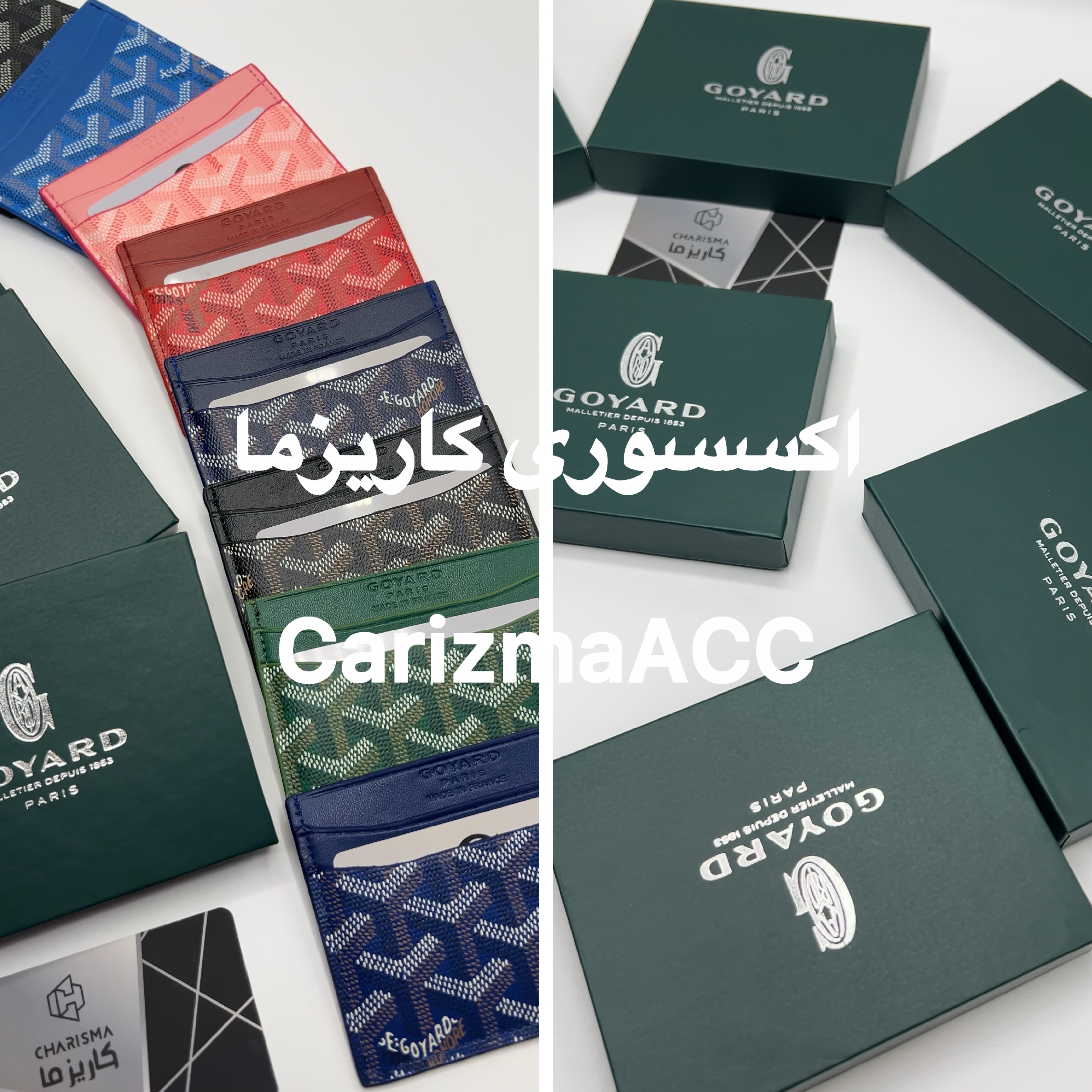 جاکارتی گویارد / Goyard Cardholder رنگ بندی کامل